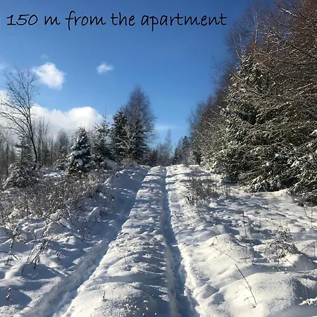 Appartement Aia